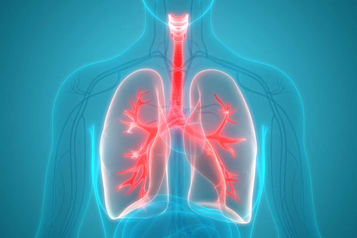 https://www.mayoclinic.org/tests-procedures/lung-transplant/about/pac-20384754