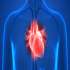 بیماری دریچه قلب چیست؟